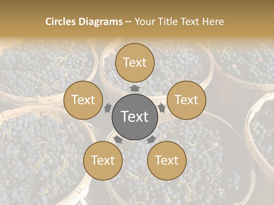 Tick On Skin PowerPoint Template