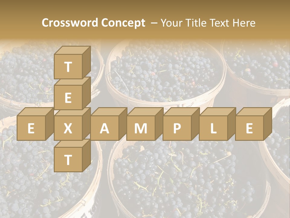 Tick On Skin PowerPoint Template