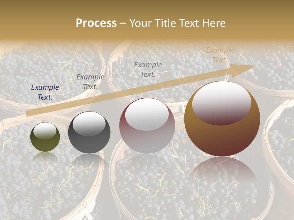 Tick On Skin PowerPoint Template