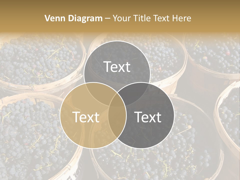 Tick On Skin PowerPoint Template