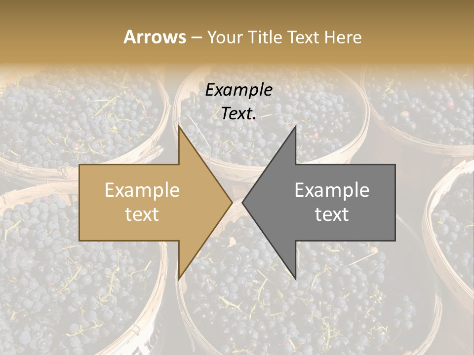 Tick On Skin PowerPoint Template