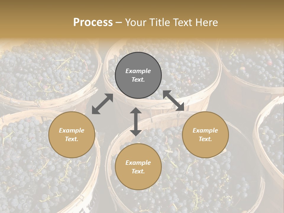 Tick On Skin PowerPoint Template