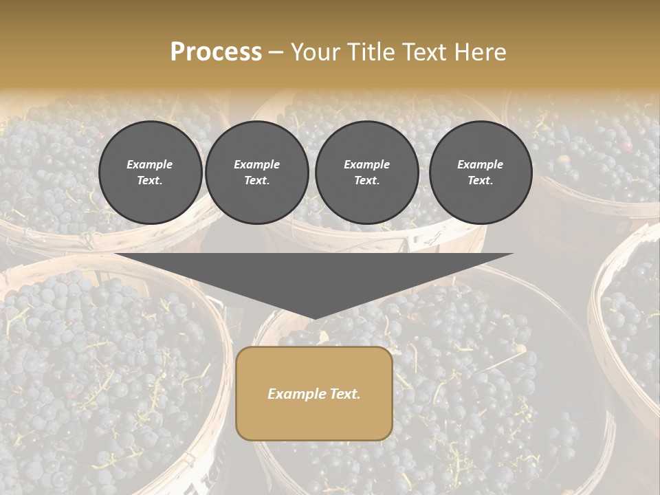 Tick On Skin PowerPoint Template