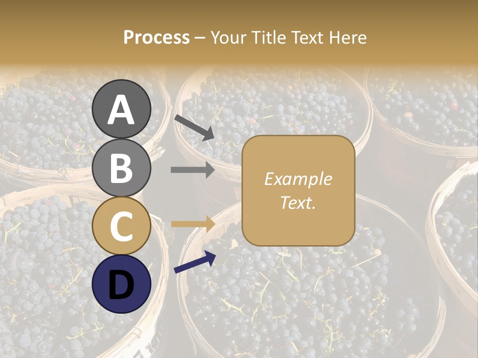 Tick On Skin PowerPoint Template