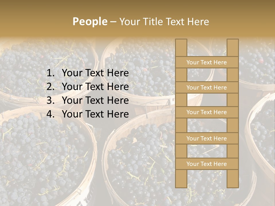 Tick On Skin PowerPoint Template