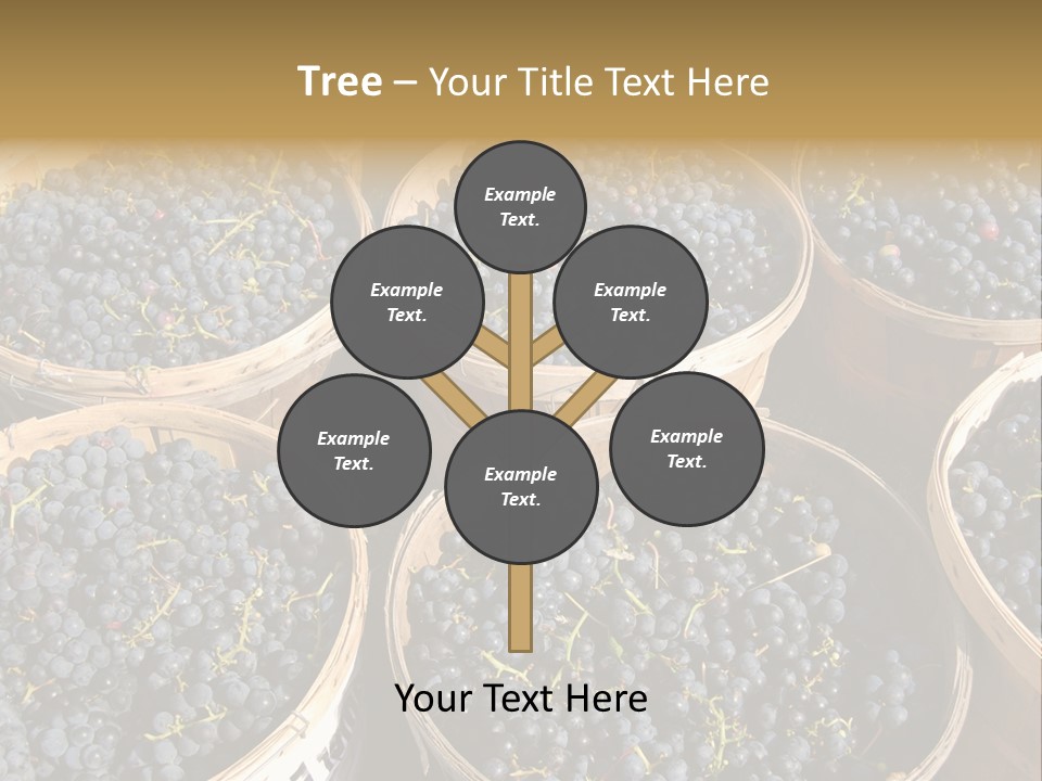 Tick On Skin PowerPoint Template