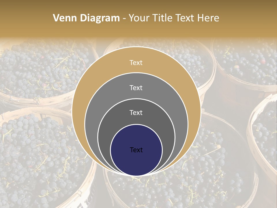 Tick On Skin PowerPoint Template