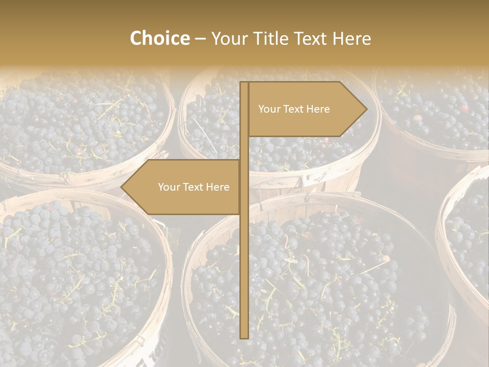 Tick On Skin PowerPoint Template