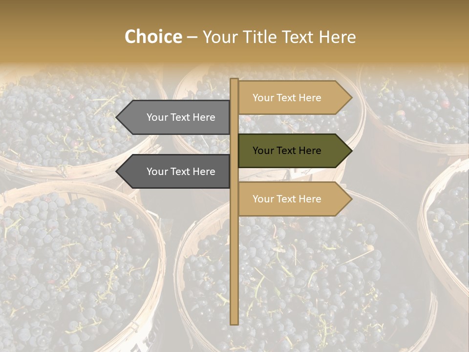 Tick On Skin PowerPoint Template