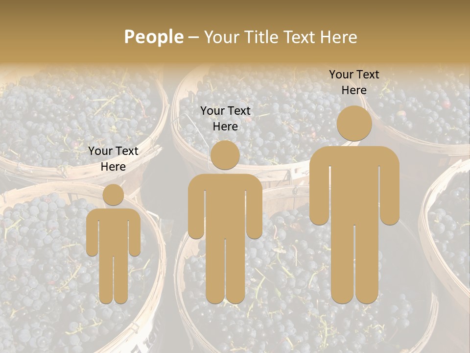 Tick On Skin PowerPoint Template