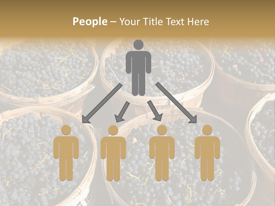 Tick On Skin PowerPoint Template