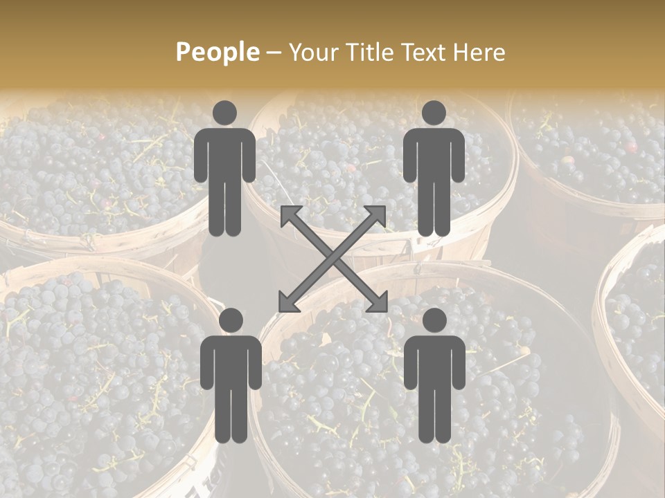 Tick On Skin PowerPoint Template
