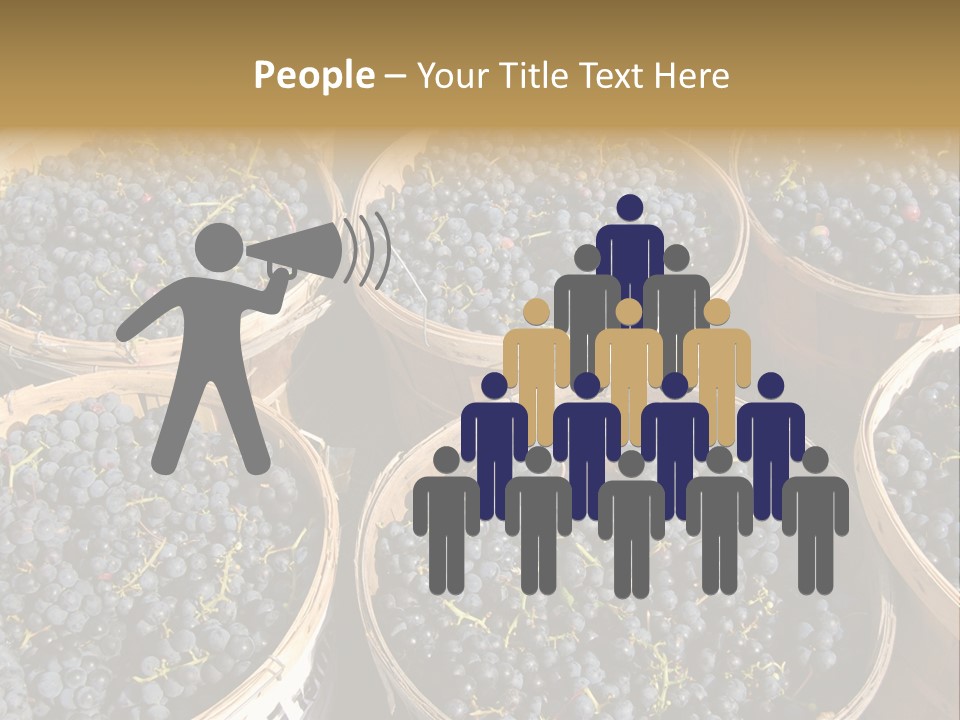 Tick On Skin PowerPoint Template