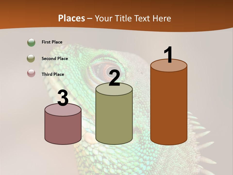 Tick On Skin PowerPoint Template