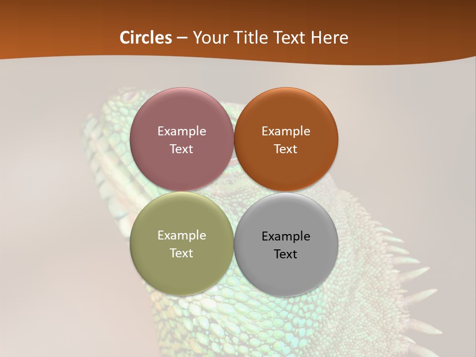 Tick On Skin PowerPoint Template