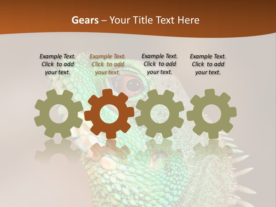 Tick On Skin PowerPoint Template