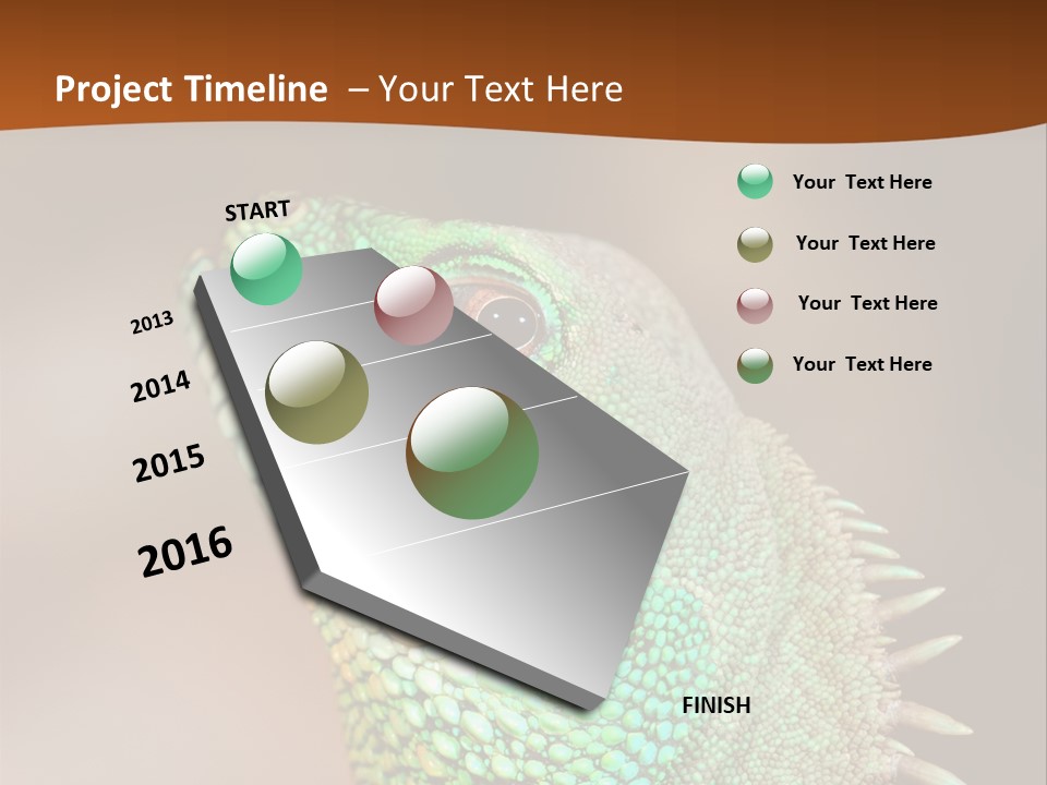 Tick On Skin PowerPoint Template