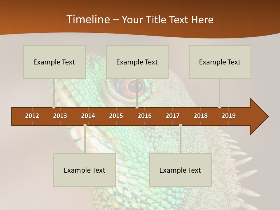 Tick On Skin PowerPoint Template