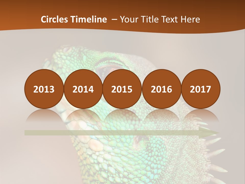 Tick On Skin PowerPoint Template