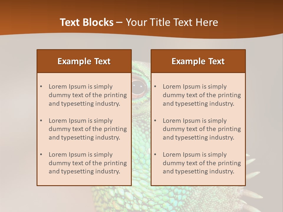 Tick On Skin PowerPoint Template
