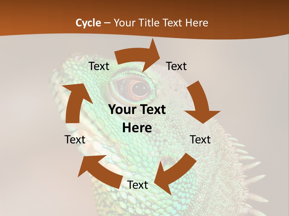 Tick On Skin PowerPoint Template