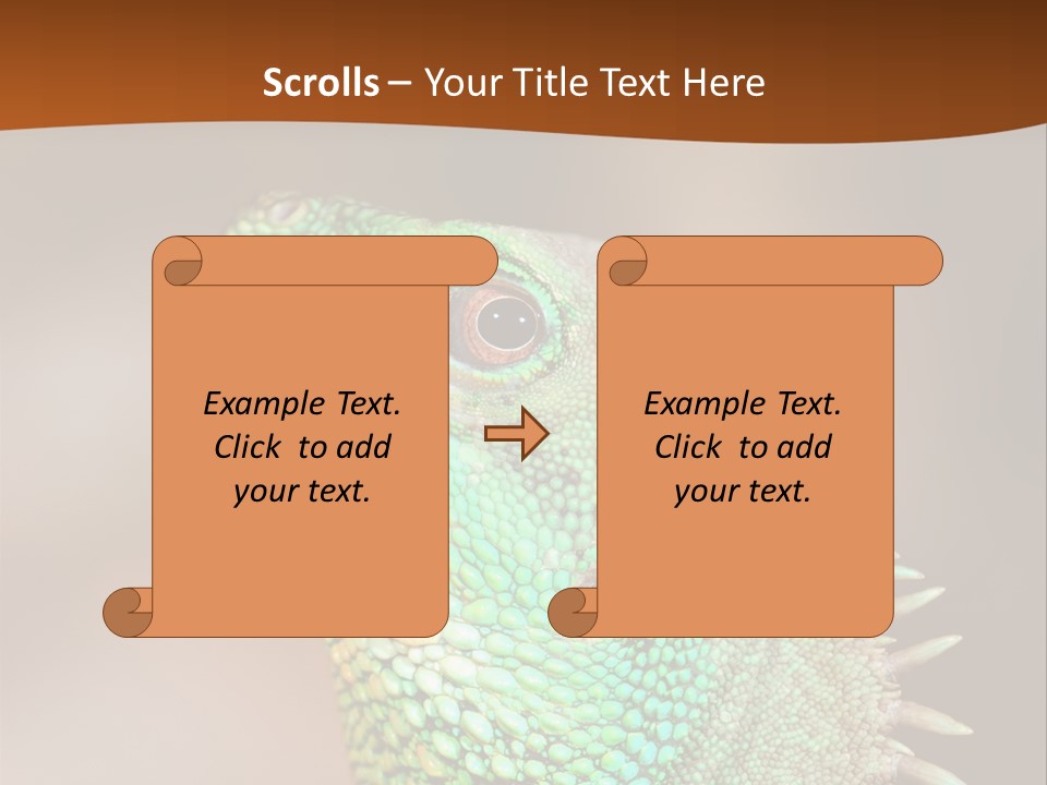 Tick On Skin PowerPoint Template