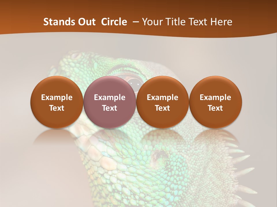 Tick On Skin PowerPoint Template