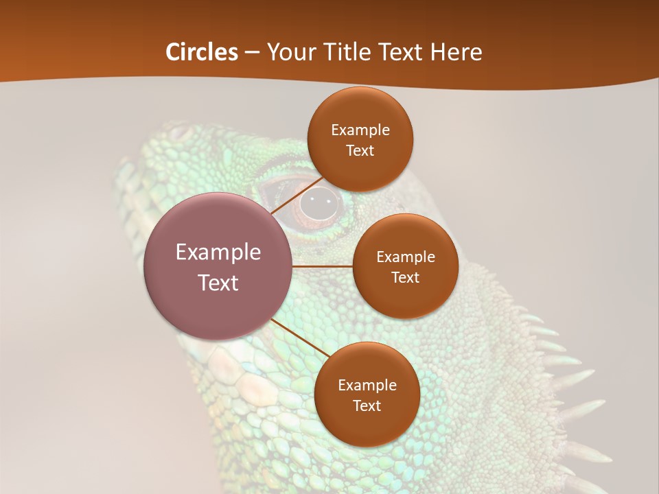 Tick On Skin PowerPoint Template