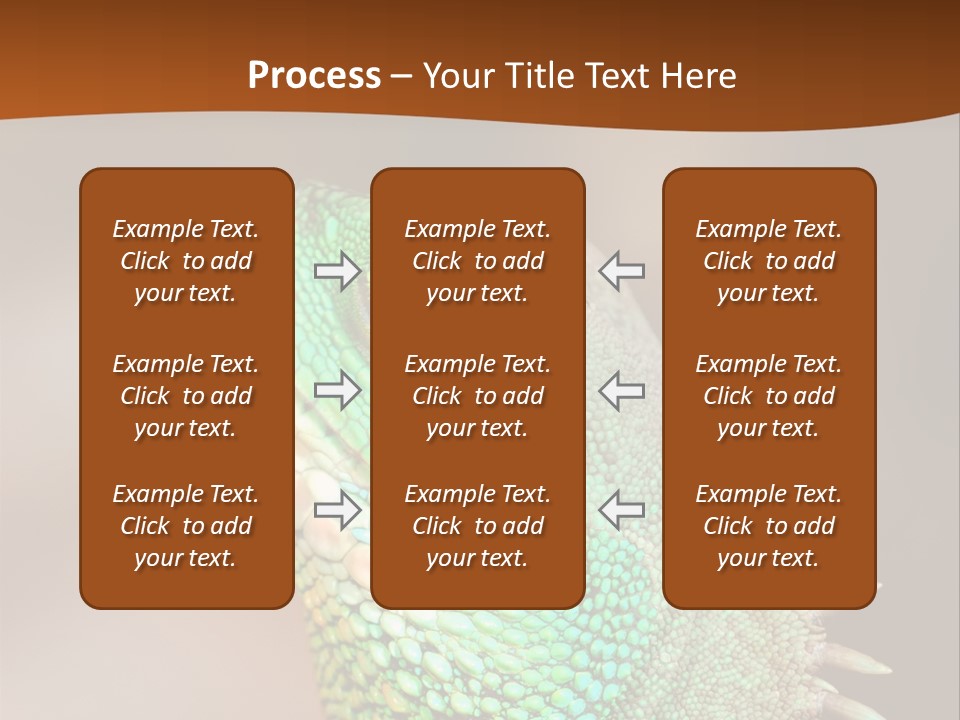 Tick On Skin PowerPoint Template