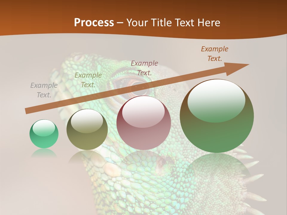 Tick On Skin PowerPoint Template