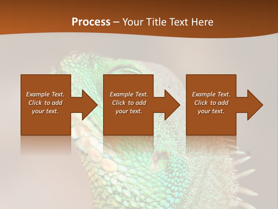 Tick On Skin PowerPoint Template