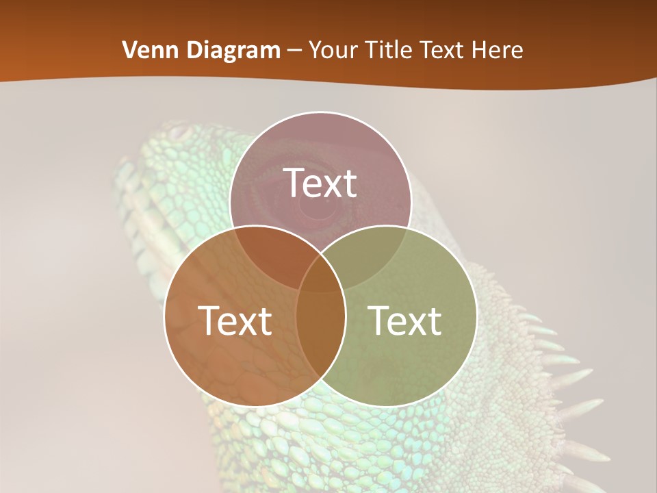 Tick On Skin PowerPoint Template