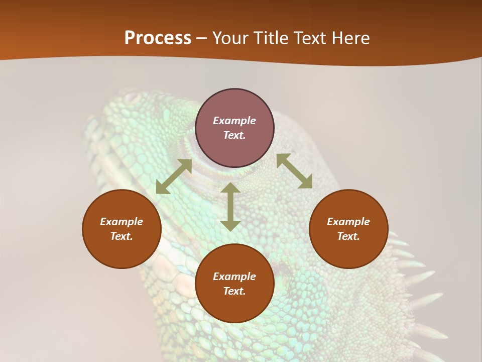 Tick On Skin PowerPoint Template