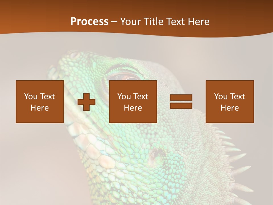 Tick On Skin PowerPoint Template