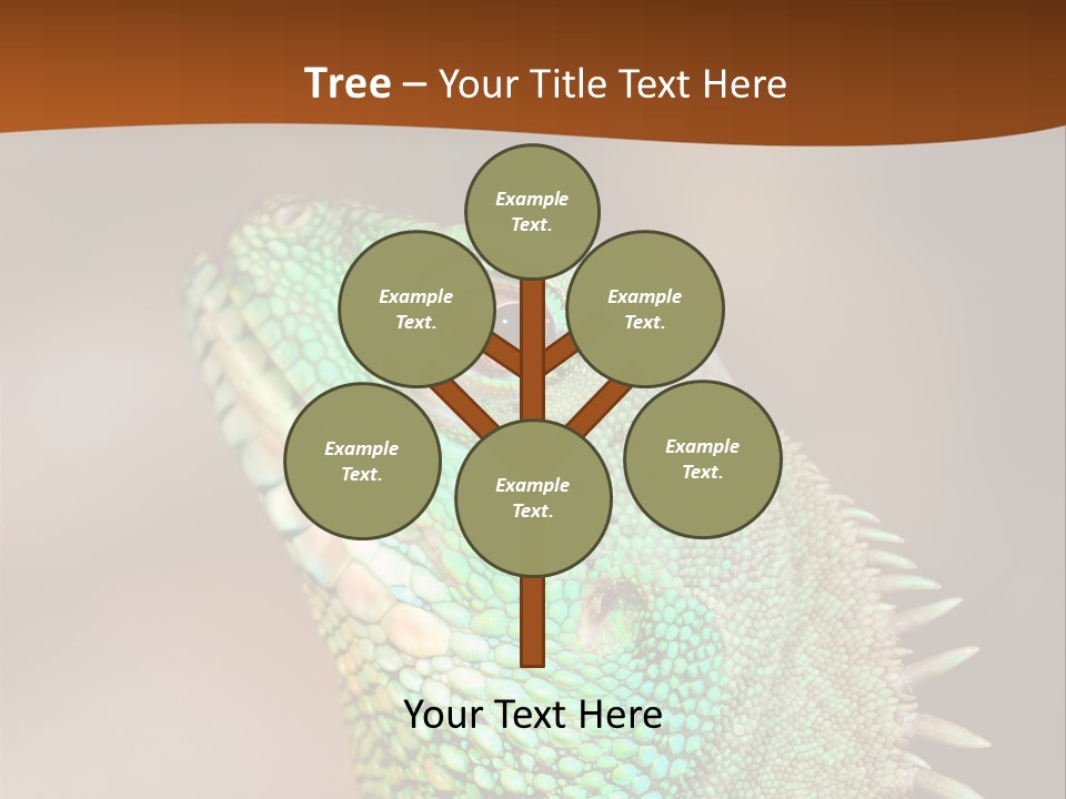 Tick On Skin PowerPoint Template