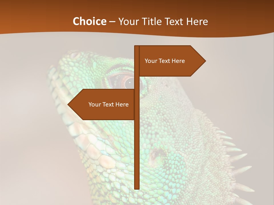 Tick On Skin PowerPoint Template