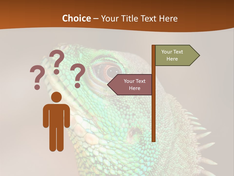 Tick On Skin PowerPoint Template