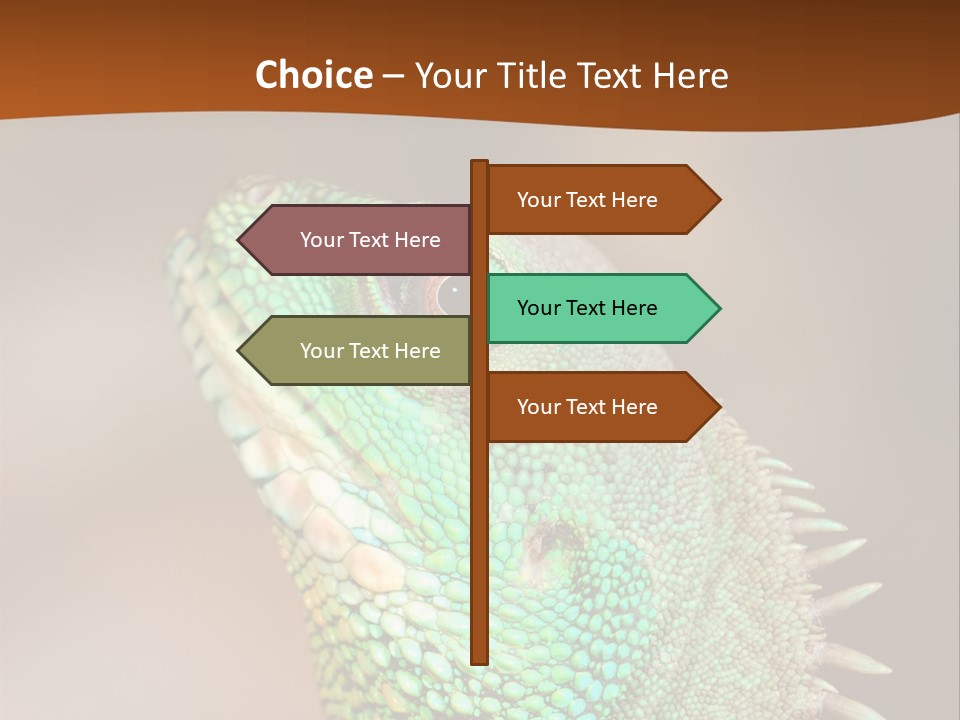 Tick On Skin PowerPoint Template