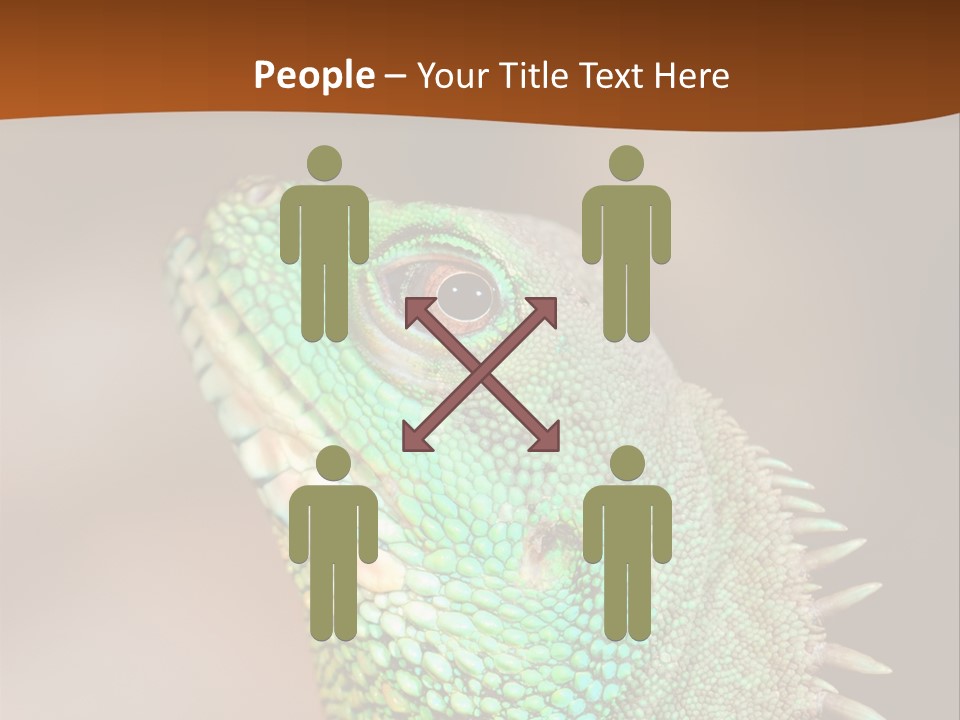 Tick On Skin PowerPoint Template