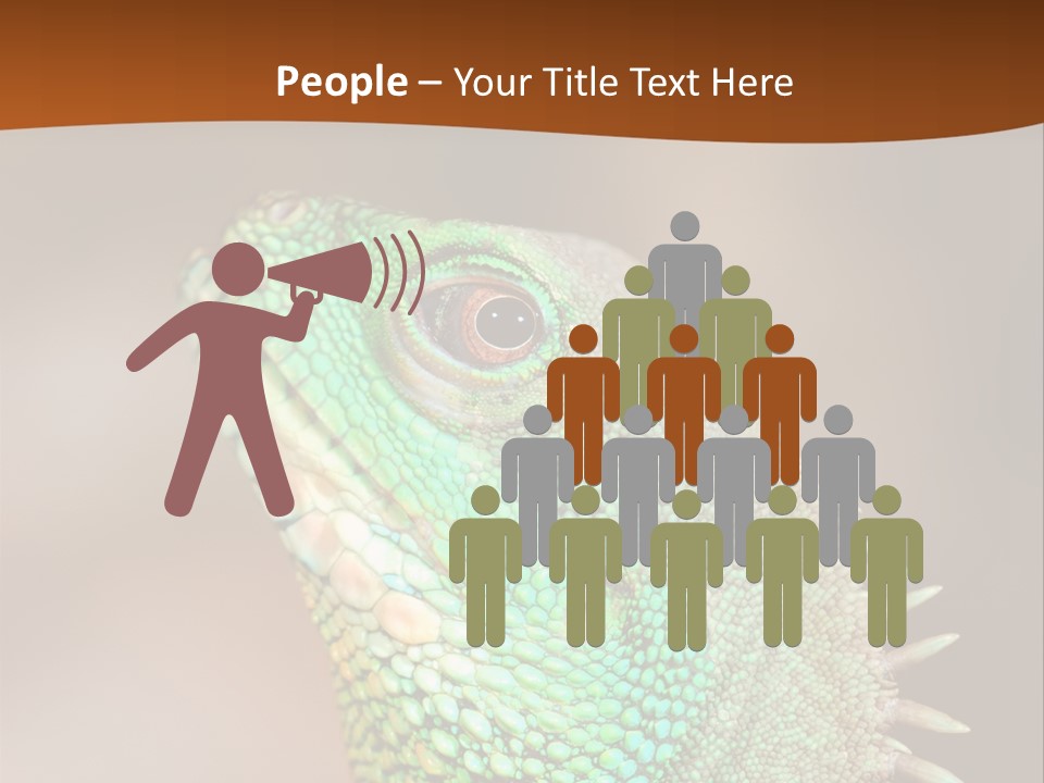 Tick On Skin PowerPoint Template