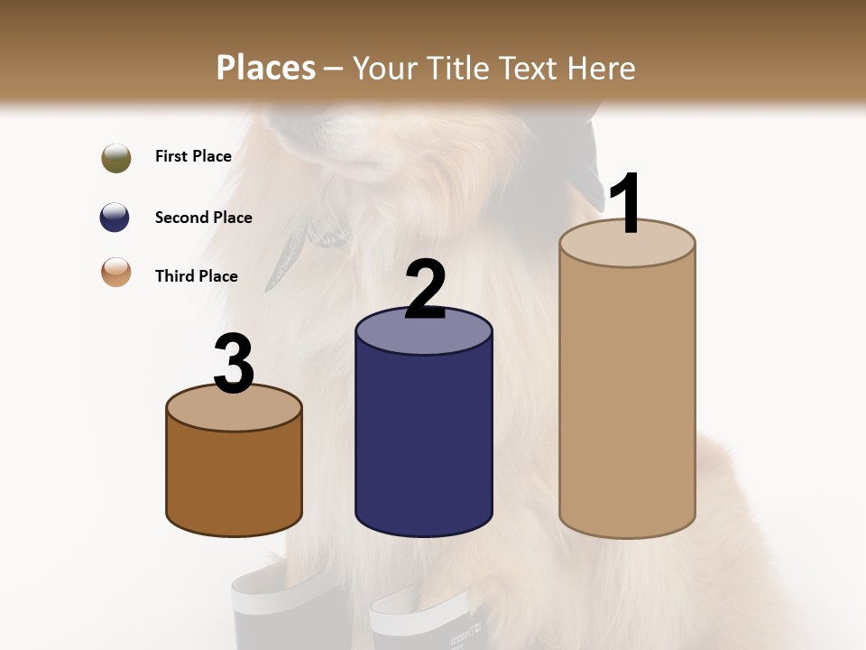 Tick On Skin PowerPoint Template