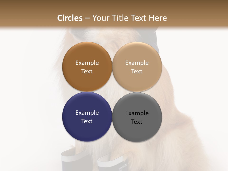Tick On Skin PowerPoint Template