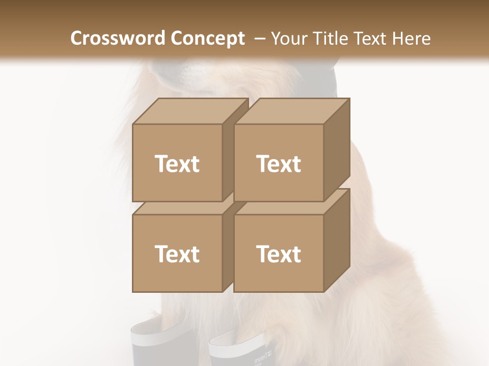 Tick On Skin PowerPoint Template