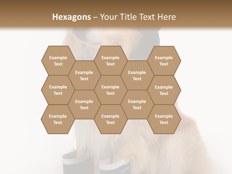 Tick On Skin PowerPoint Template