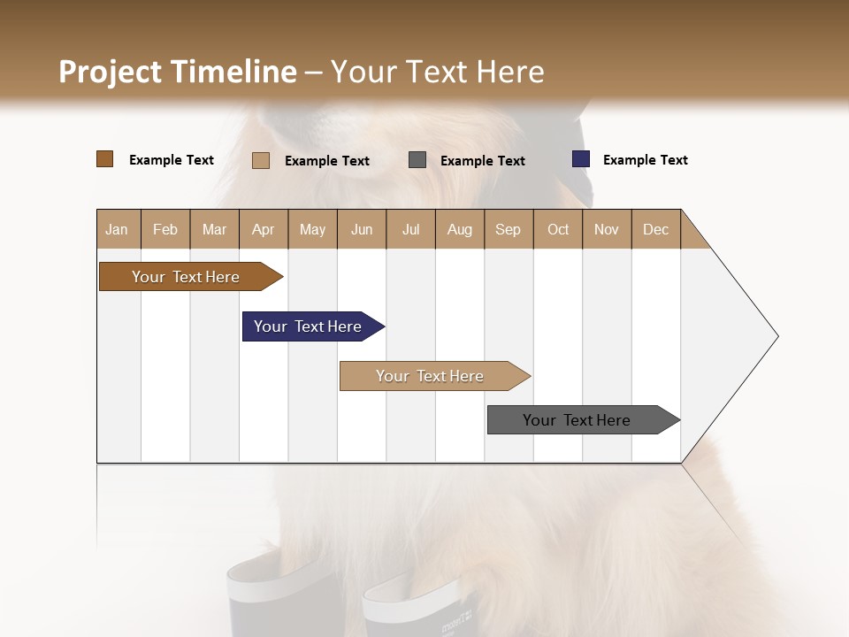 Tick On Skin PowerPoint Template