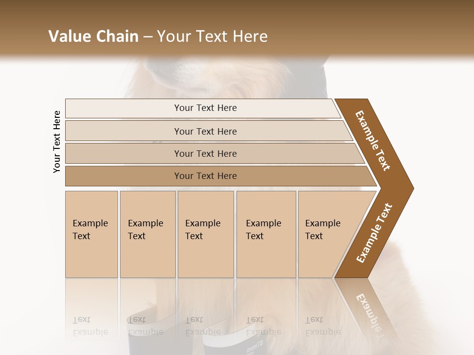Tick On Skin PowerPoint Template