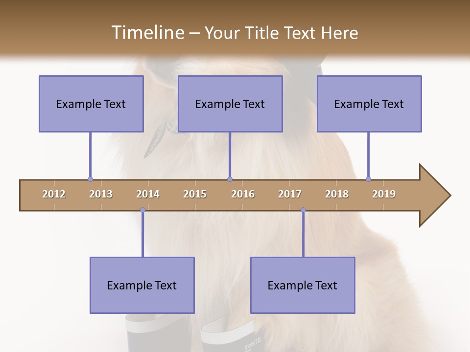 Tick On Skin PowerPoint Template