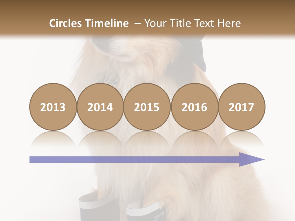 Tick On Skin PowerPoint Template