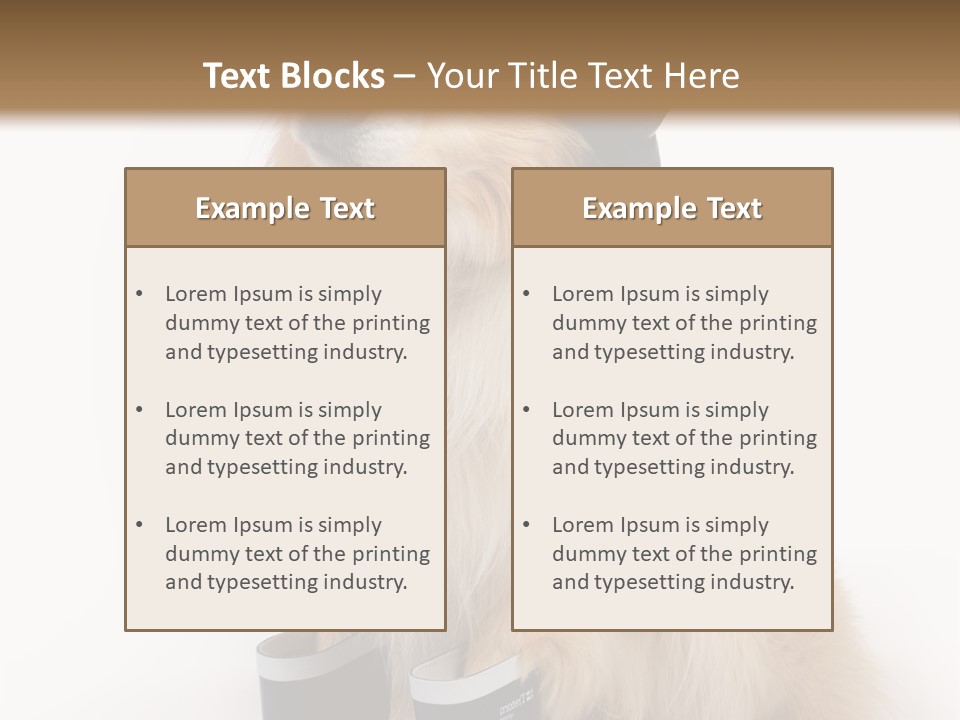 Tick On Skin PowerPoint Template