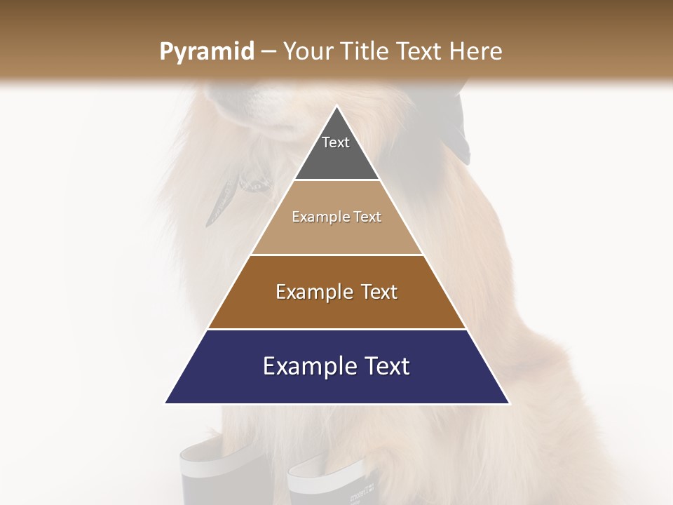 Tick On Skin PowerPoint Template